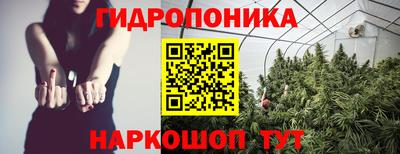 прущие грибы Рыбинск