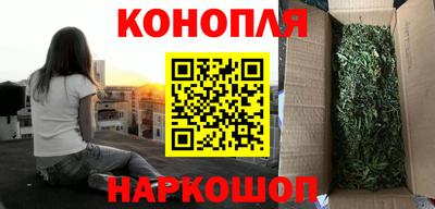 прущие грибы Рыбинск