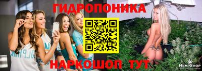 прущие грибы Рыбинск