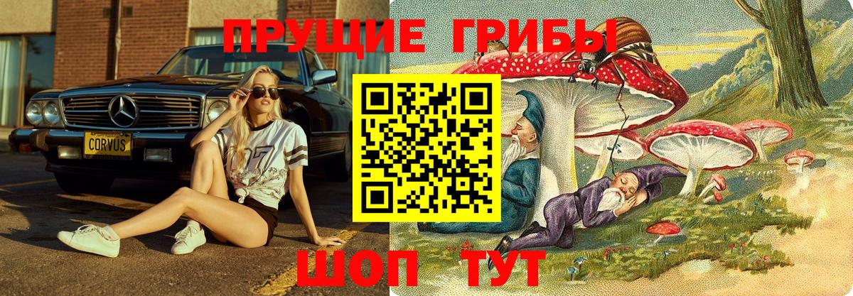 Похвистнево  Псилоцибиновые грибы Cubensis  Вход с VPN 
